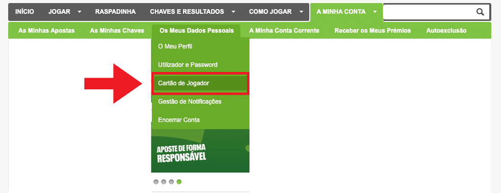 Opção 'Cartão de Jogador' do Euromilhões