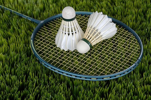 Badminton Apostas Desportivas Online - Feeling Lucky